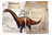 Bronto