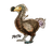 Dodo