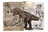 Rex