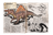 Spino